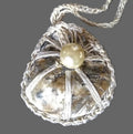 A Pearl in a Seashell